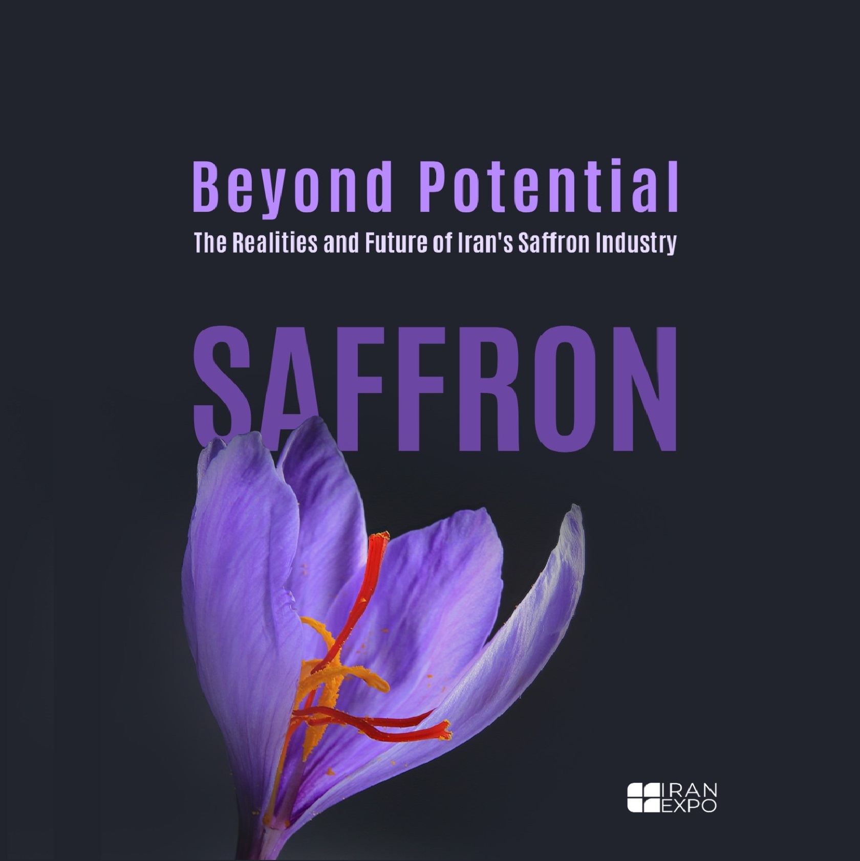Iran's Saffron Industry